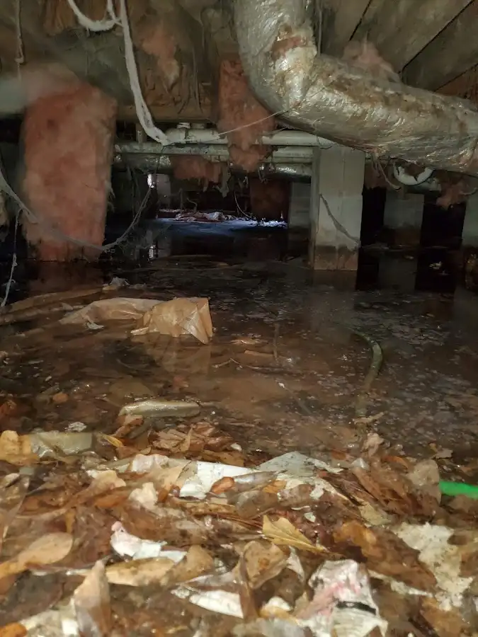 Crawl space flood assessment for Leak Detection & Repair in Cumming